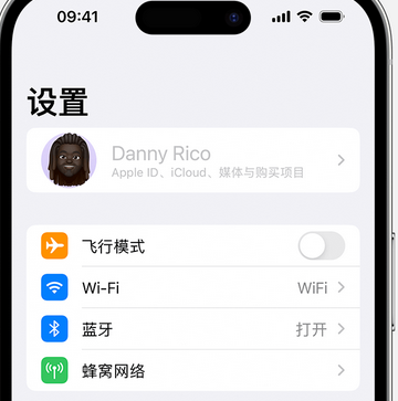 金城江appleID维修服务iPhone设置中Apple ID显示为灰色无法使用