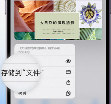 金城江apple维修中心分享iPhone文件应用中存储和找到下载文件