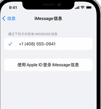 金城江apple维修iPhone上无法正常发送iMessage信息