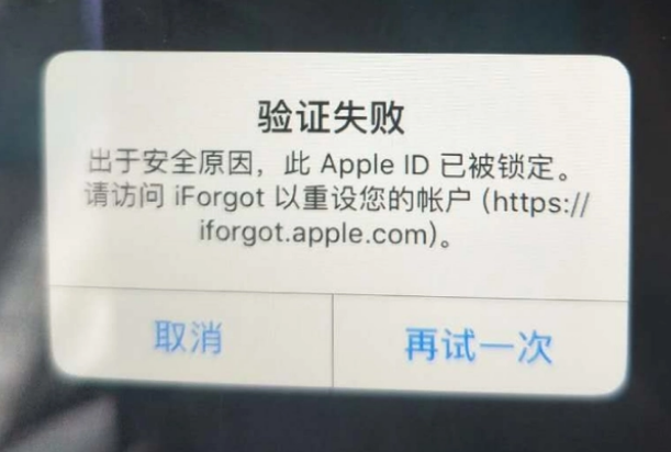 金城江iPhone维修分享iPhone上正常登录或使用AppleID怎么办 