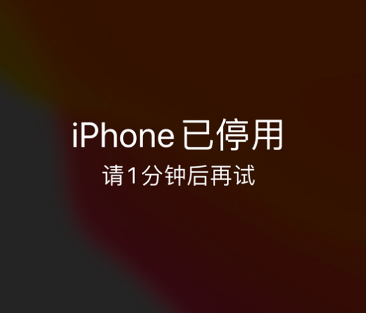 金城江苹果手机维修分享:iPhone 显示“不可用”或“已停用”怎么办？还能保留数据吗？ 