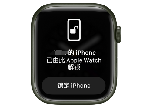 金城江苹果手机维修分享用 AppleWatch 解锁配备面容 ID 的 iPhone方法 