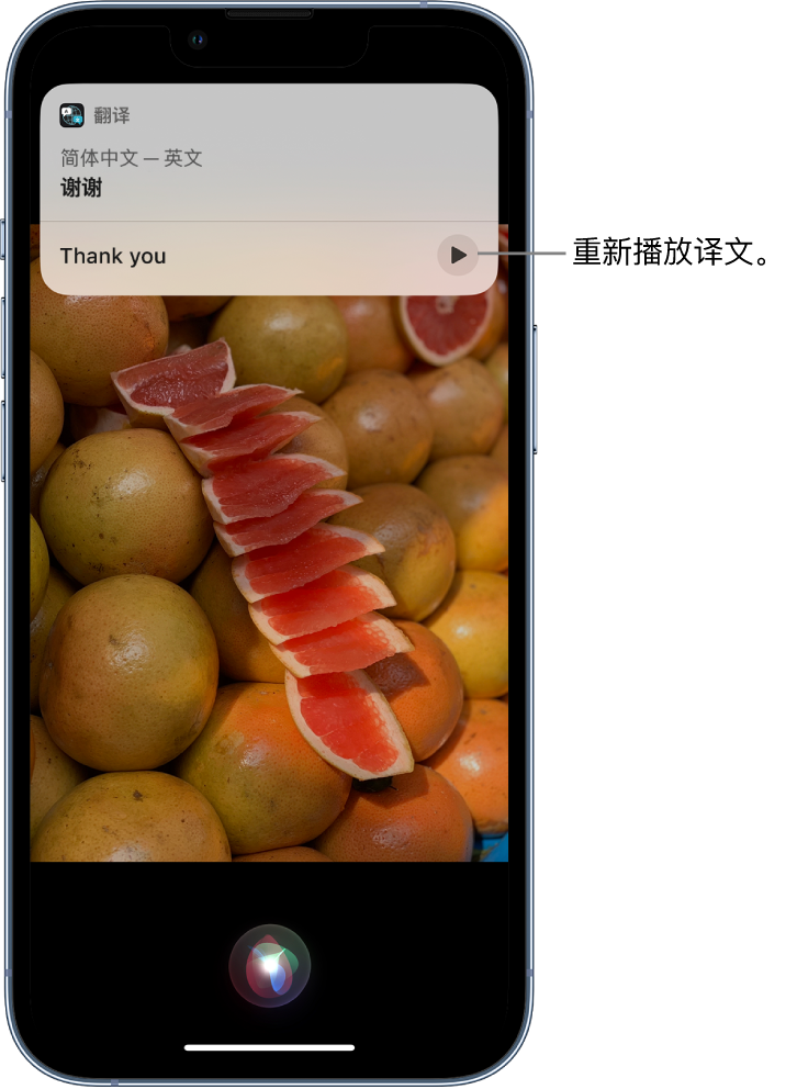 金城江苹果14维修分享 iPhone 14 机型中使用 Siri：了解 Siri 能帮你做什么 