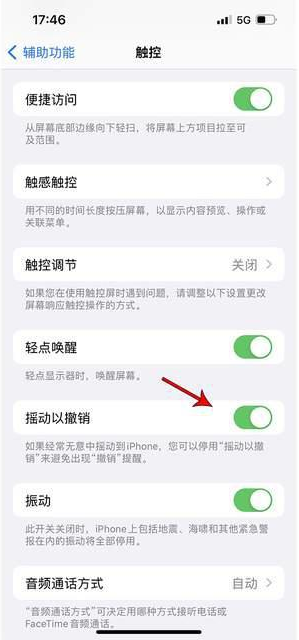 金城江苹果手机维修分享iPhone手机如何设置摇一摇删除文字 