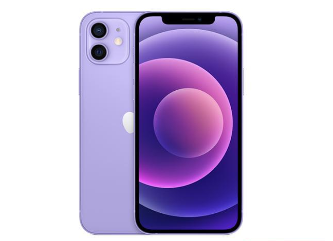 金城江苹果手机维修分享现阶段要不要入手紫色版iPhone12 