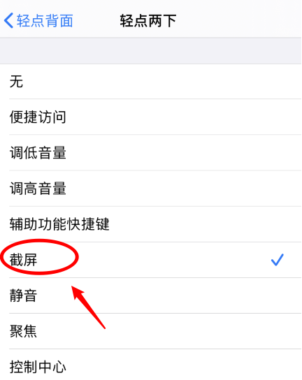 金城江苹果手机维修分享iPhone12如何启用双击截屏 