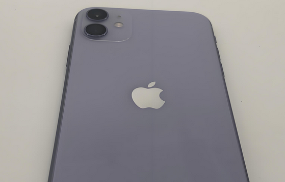 金城江苹果11系统维修分享iPhone11手机系统崩溃无法开机如何解决 